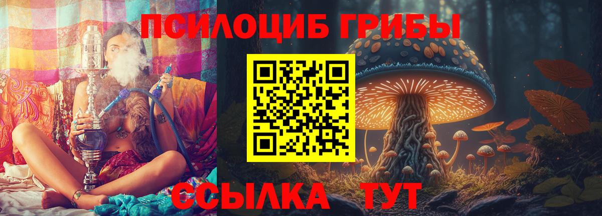 закладка  Псилоцибиновые грибы мухоморы  Вход с VPN  Россошь  Галлюциногенные грибы Cubensis 